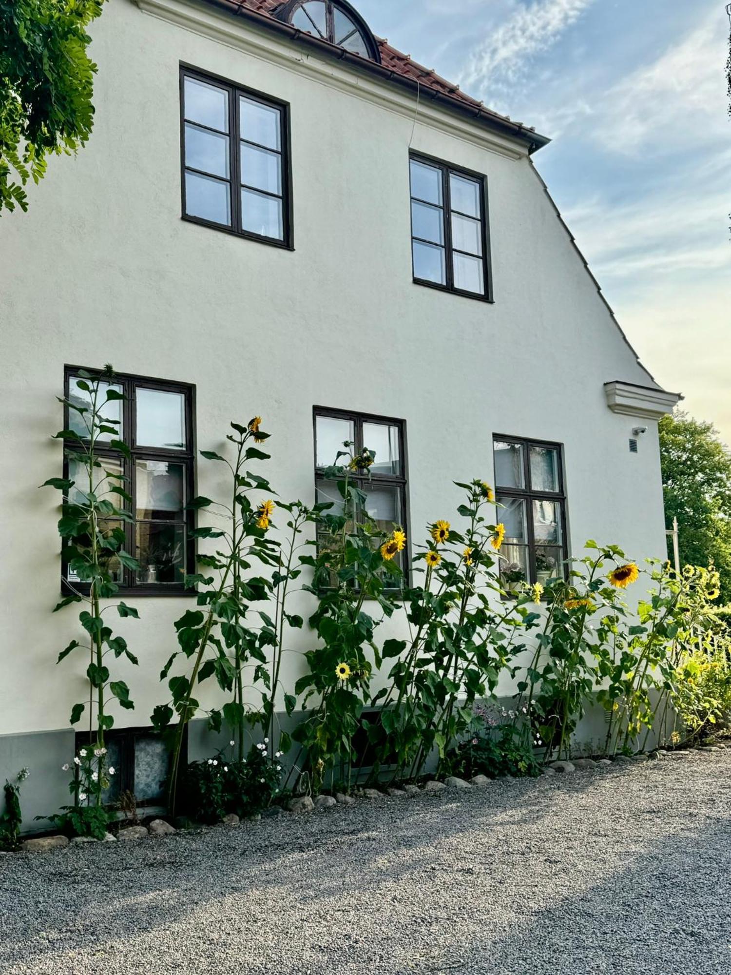 Stf Landskrona Hostel Exterior foto