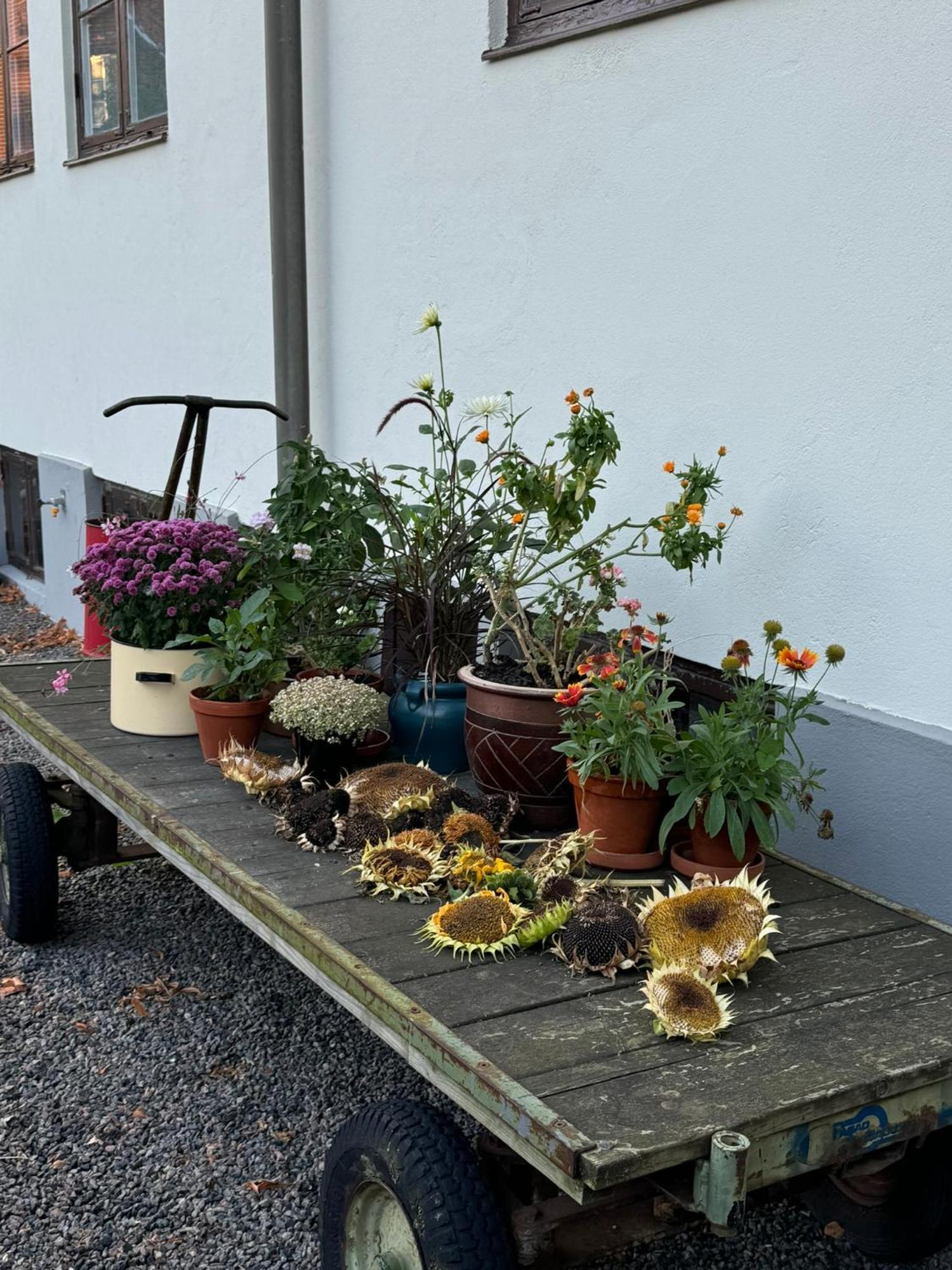 Stf Landskrona Hostel Exterior foto